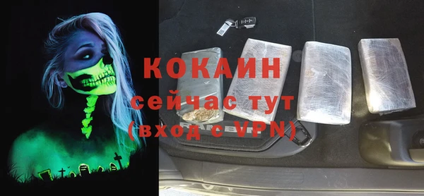 шишки Костерёво