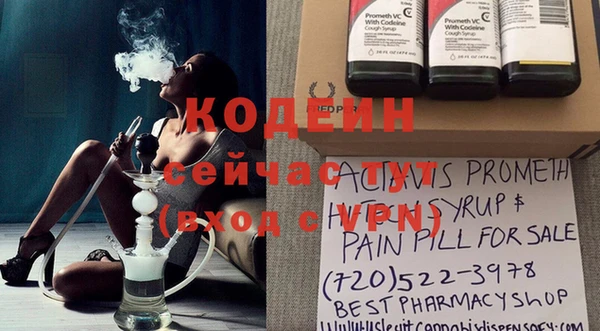 шишки Костерёво