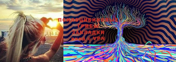 героин Коряжма