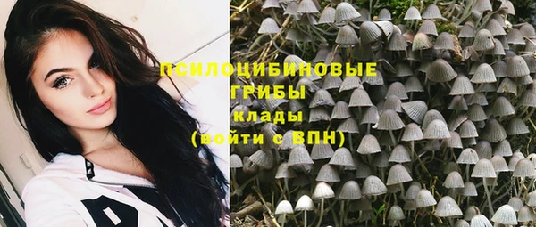 шишки Костерёво