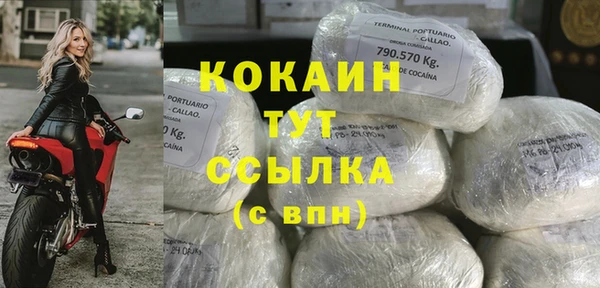 шишки Костерёво