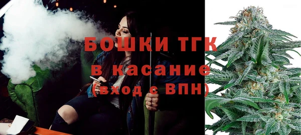шишки Костерёво