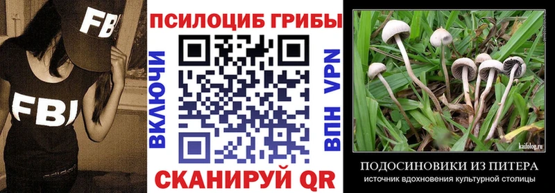 нарко площадка клад  Находка  Псилоцибиновые грибы ЛСД 